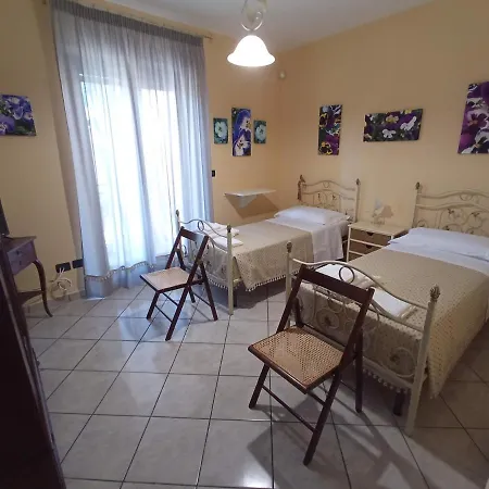 I Fiori Di Amina Le Viole